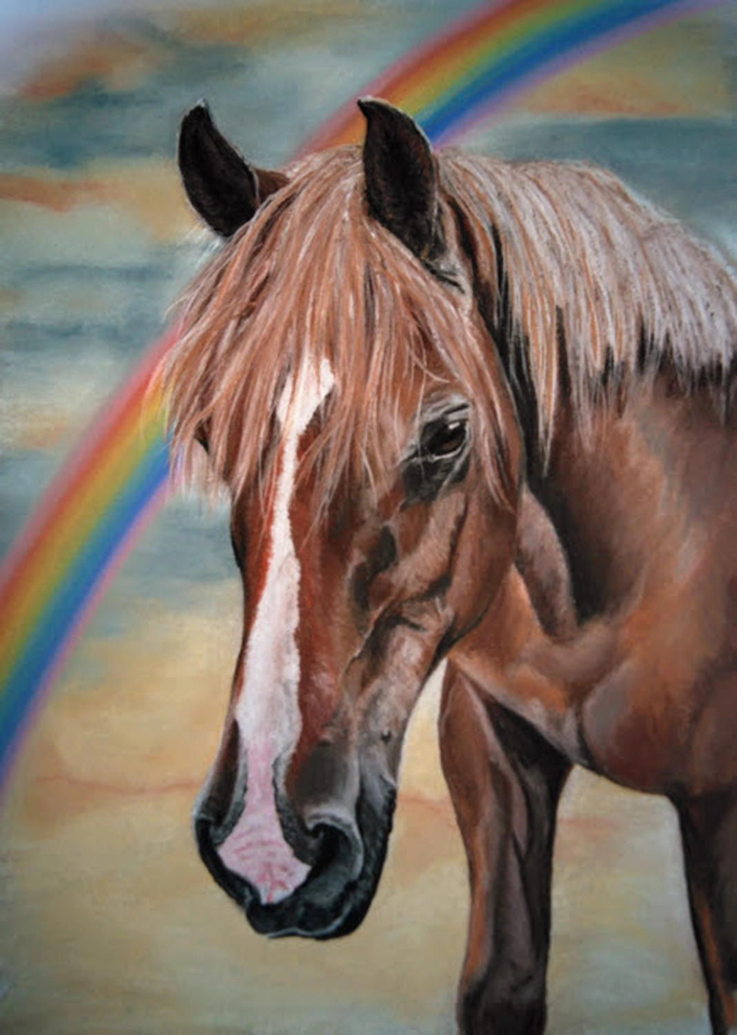 Regenbogenbrücke Pony A4 Wunschbild
