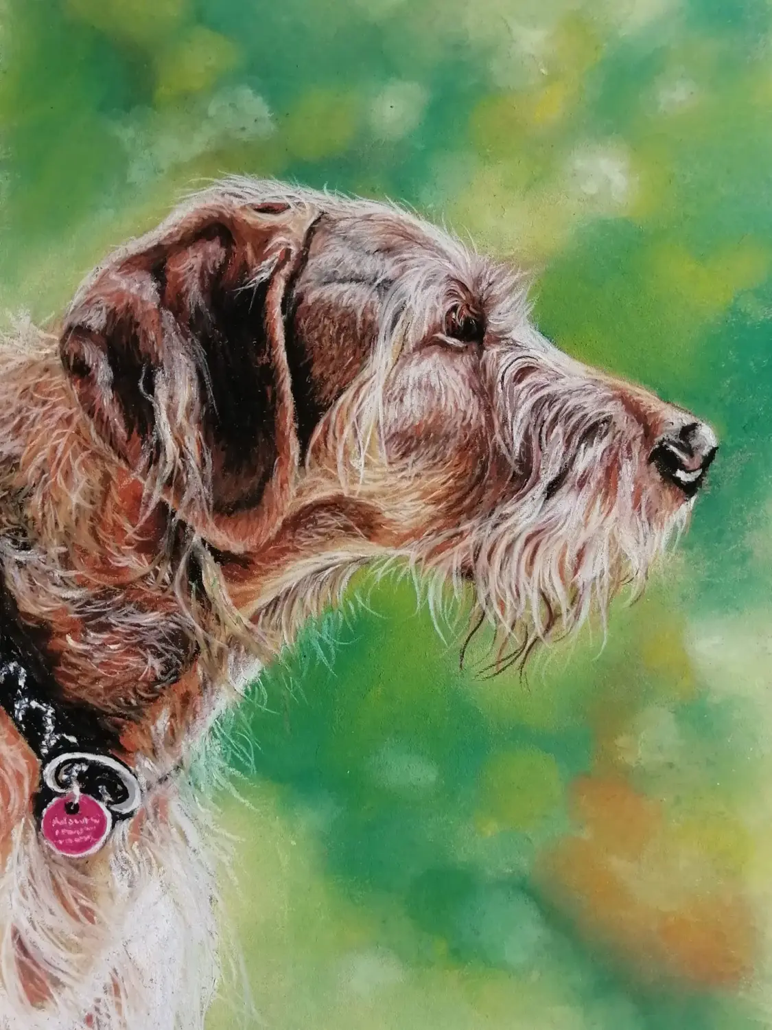 Mit Herz und Farbe - Künstler - Hunde