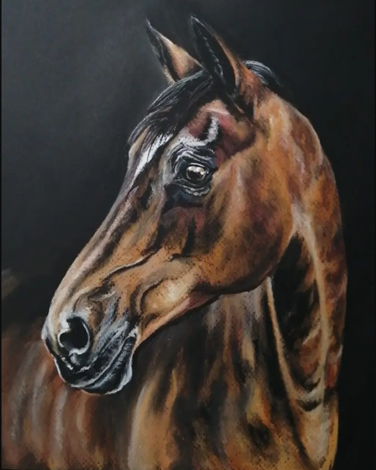 Mit Herz und Farbe - Künstler - Pferd