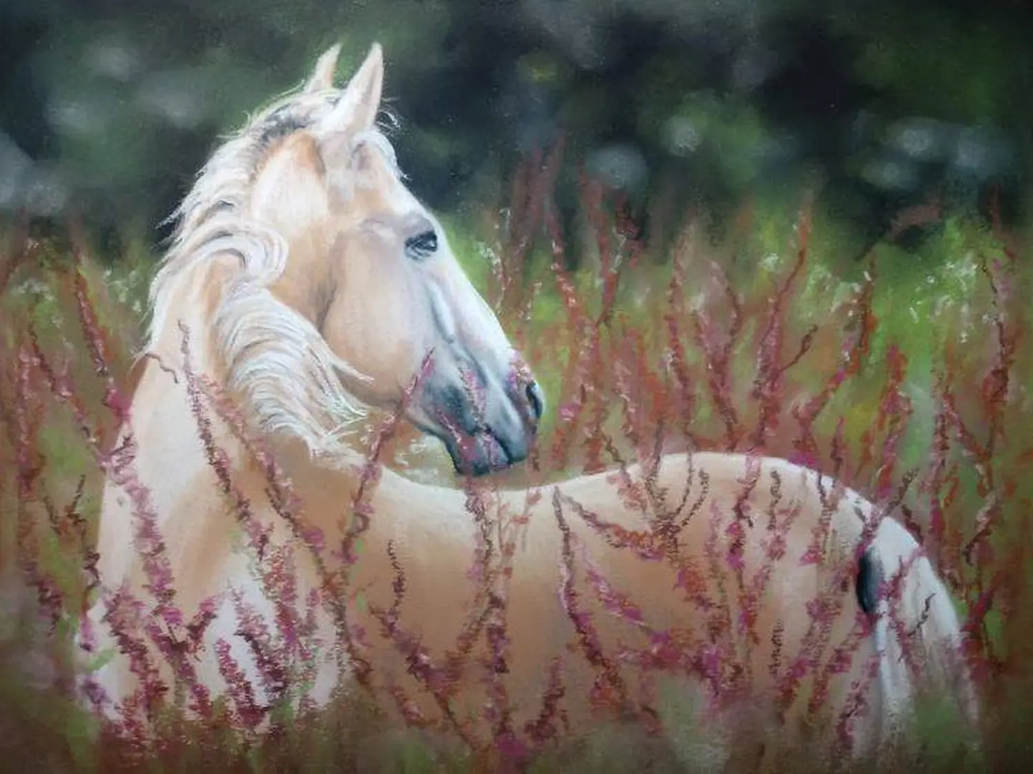 Mit Herz und Farbe - Künstler - Pferd