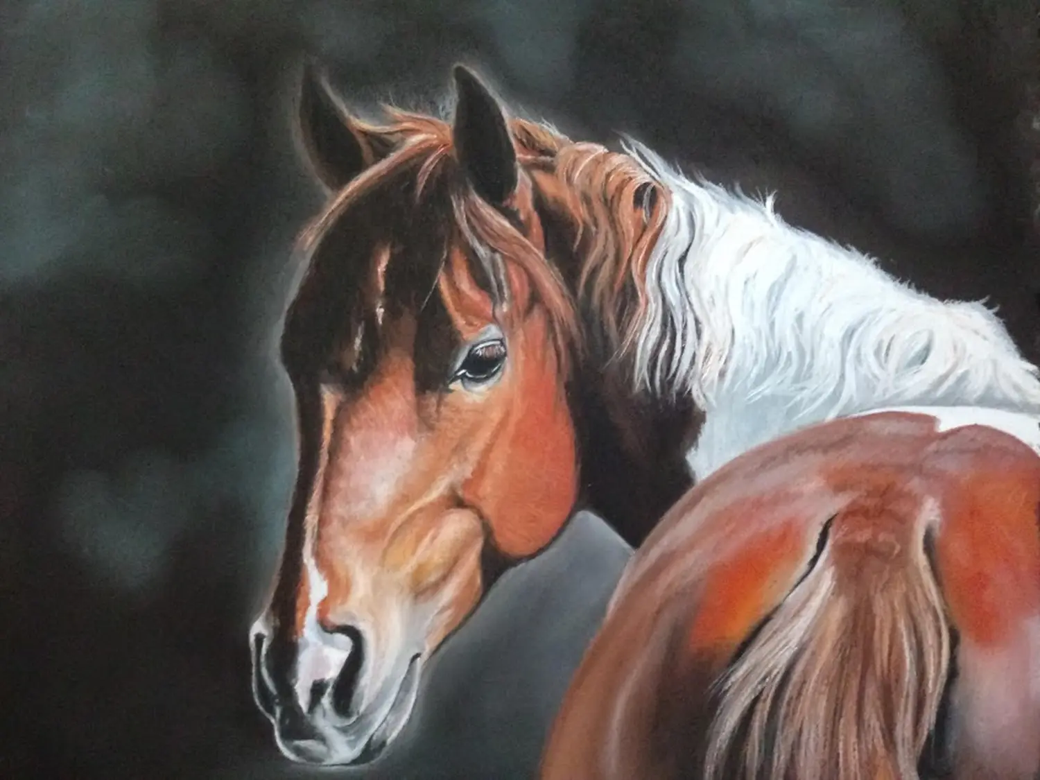 Mit Herz und Farbe - Künstler - Pferd