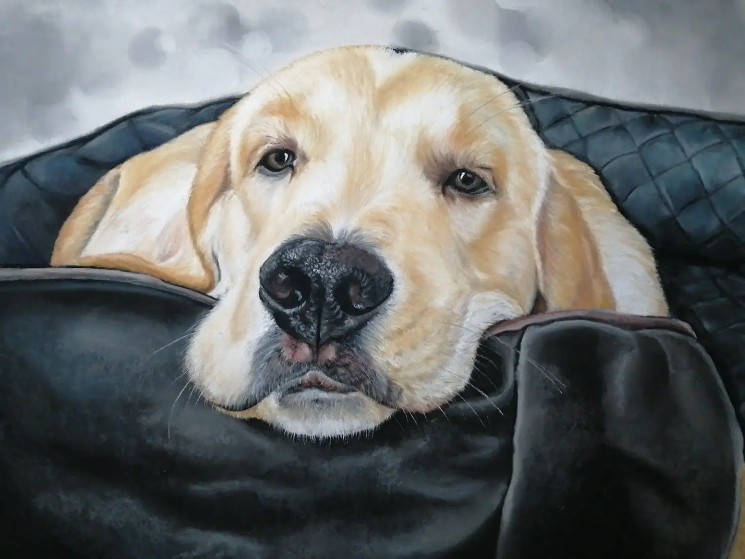 Mit Herz und Farbe - Künstler - Hunde