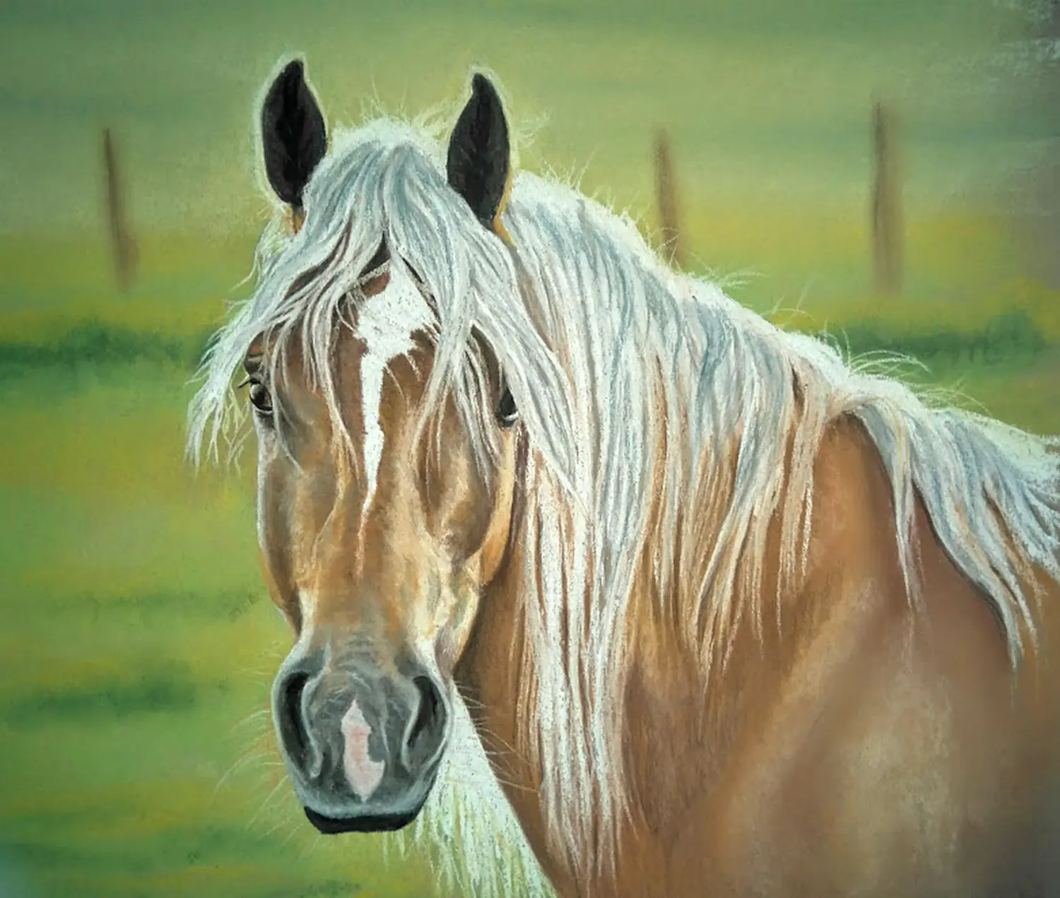 Mit Herz und Farbe - Künstler - Pferd