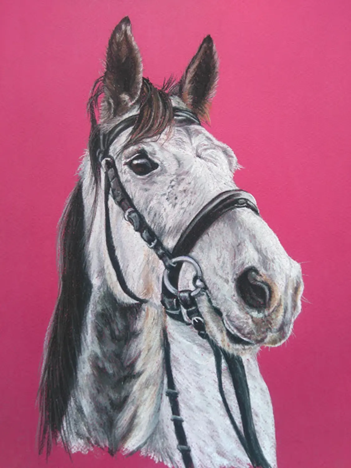 Mit Herz und Farbe - Künstler - Pferd