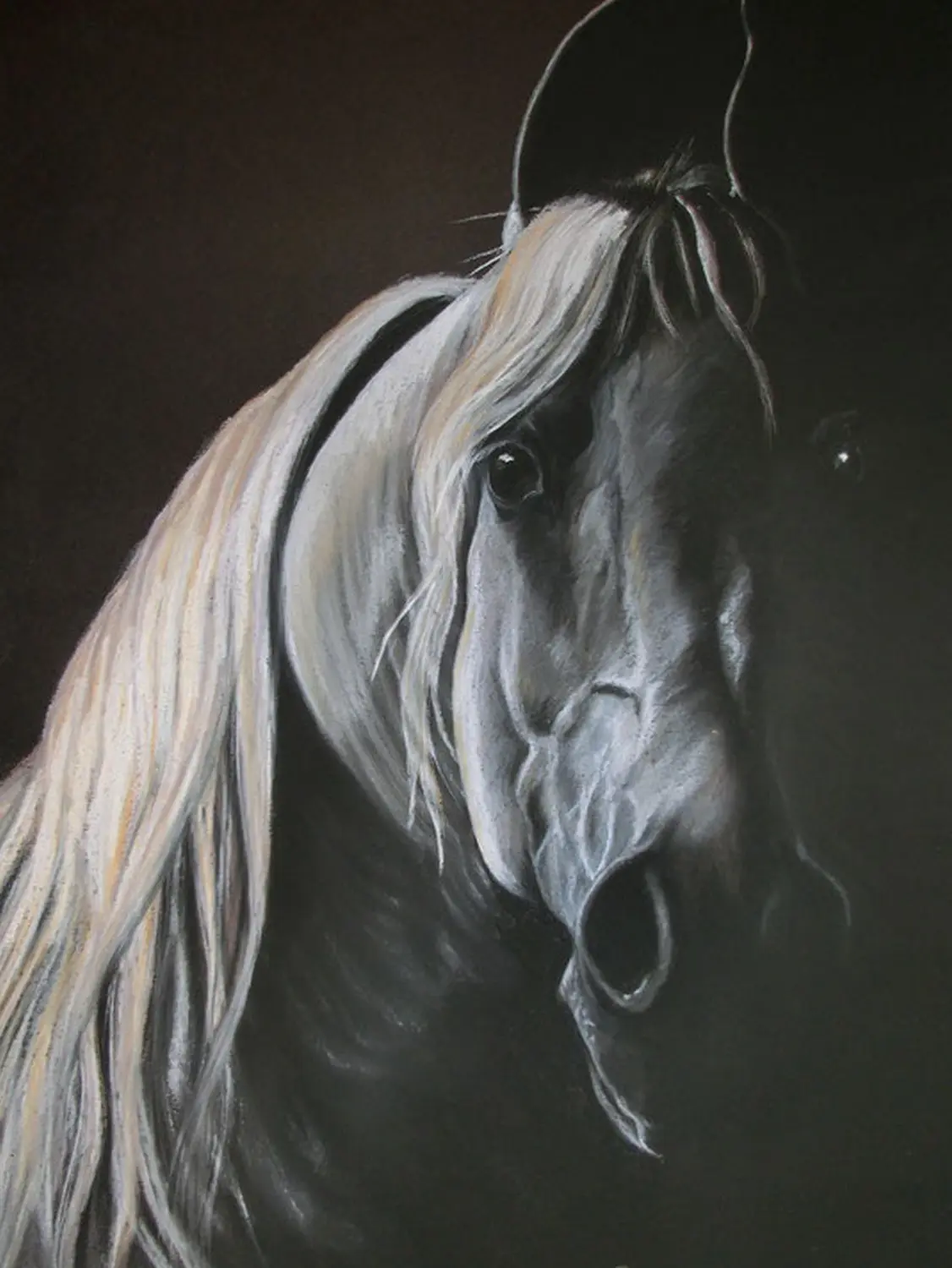 Mit Herz und Farbe - Künstler - Pferd