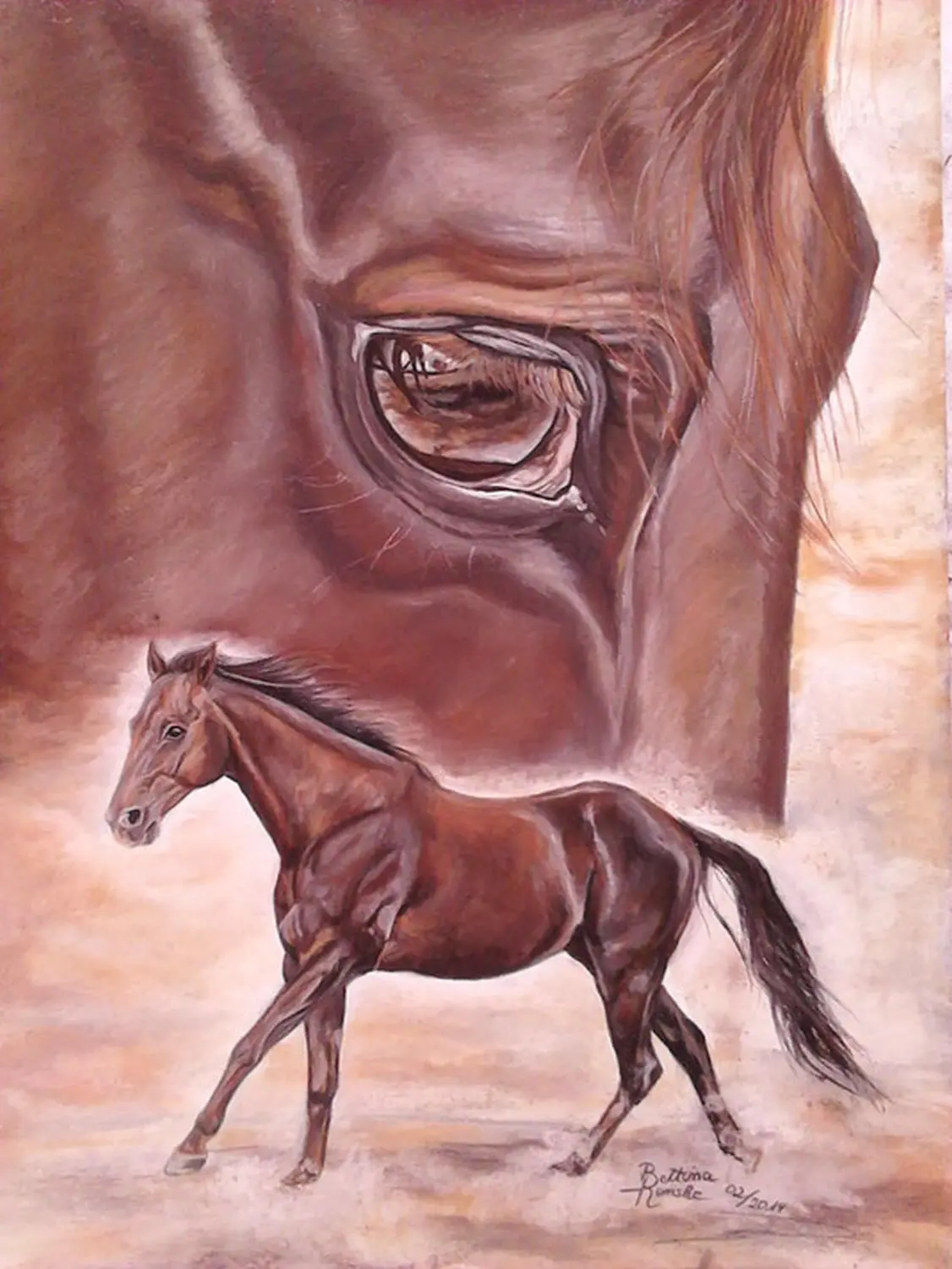 Mit Herz und Farbe - Künstler - Pferd