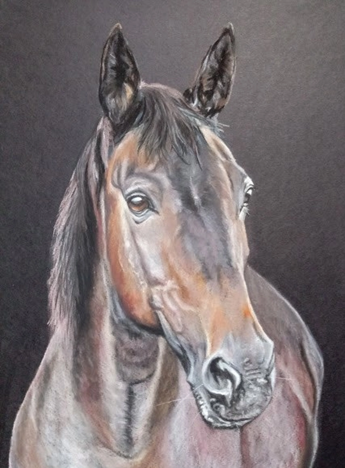 Mit Herz und Farbe - Künstler - Pferd