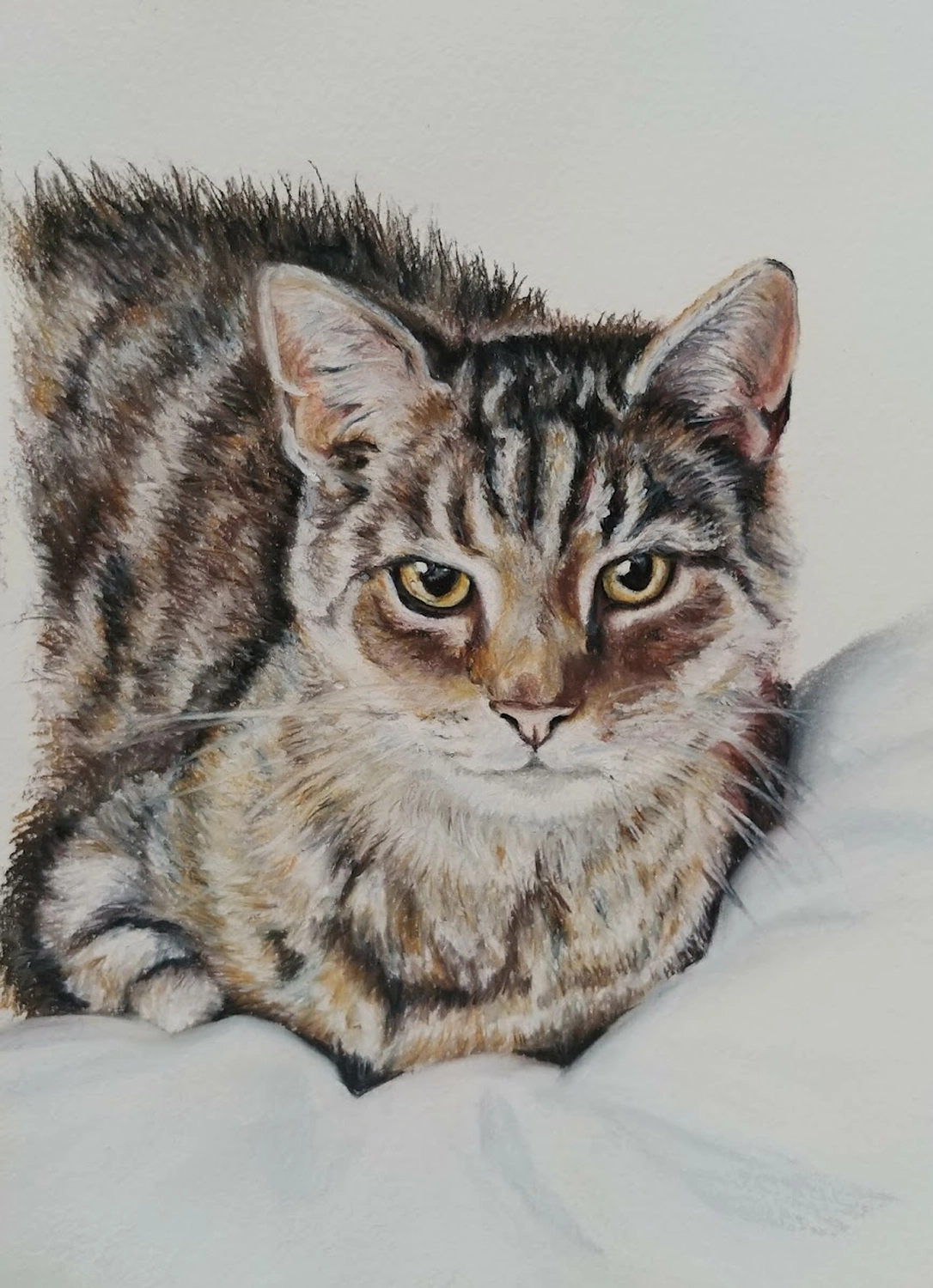 Mit Herz und Farbe - Künstler - Kat