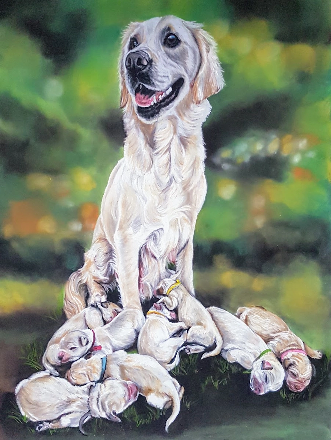 Mit Herz und Farbe - Künstler - Hunde