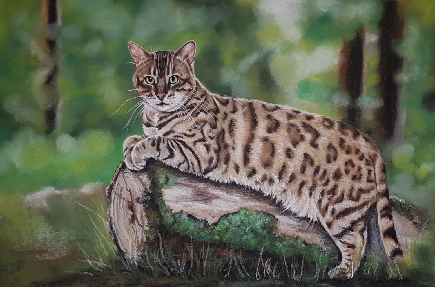 Mit Herz und Farbe - Künstler - Kat