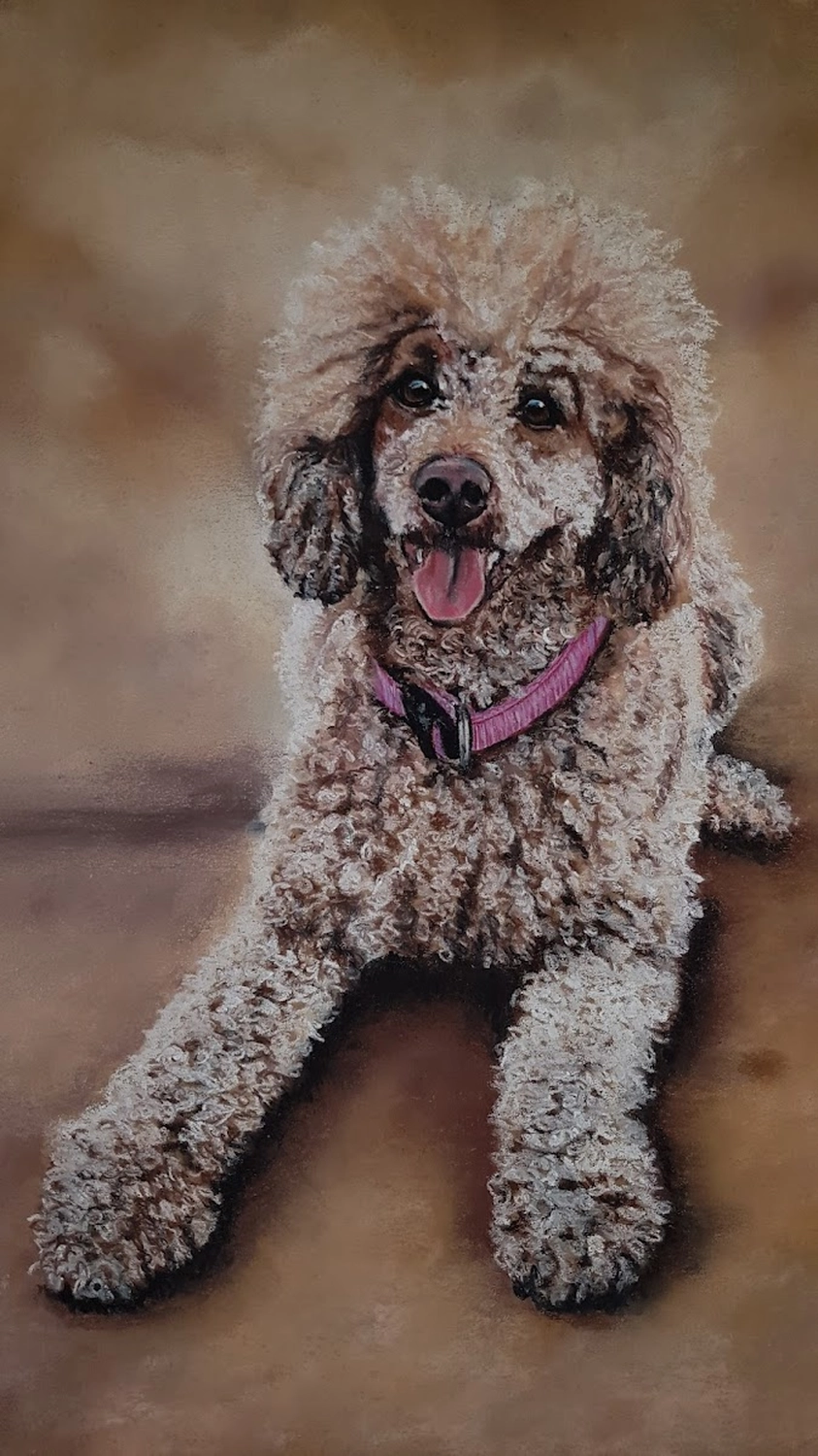 Mit Herz und Farbe - Künstler - Hunde