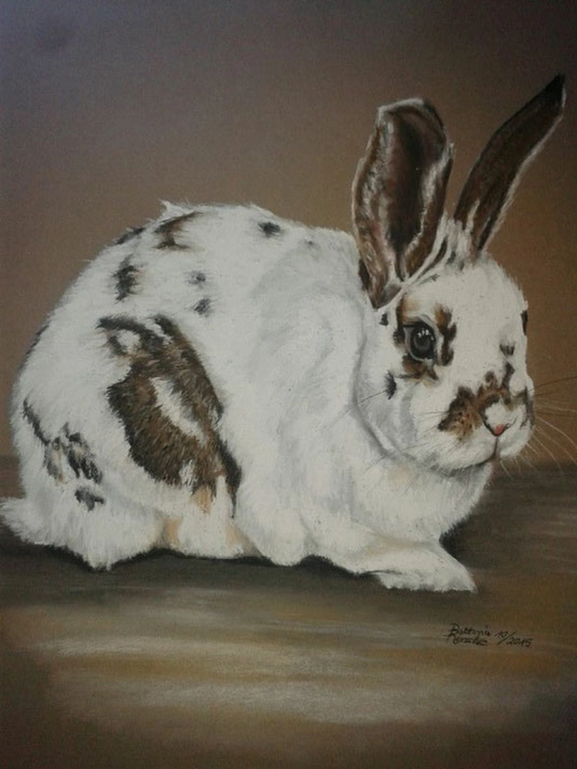 Mit Herz und Farbe - Künstler - Tier