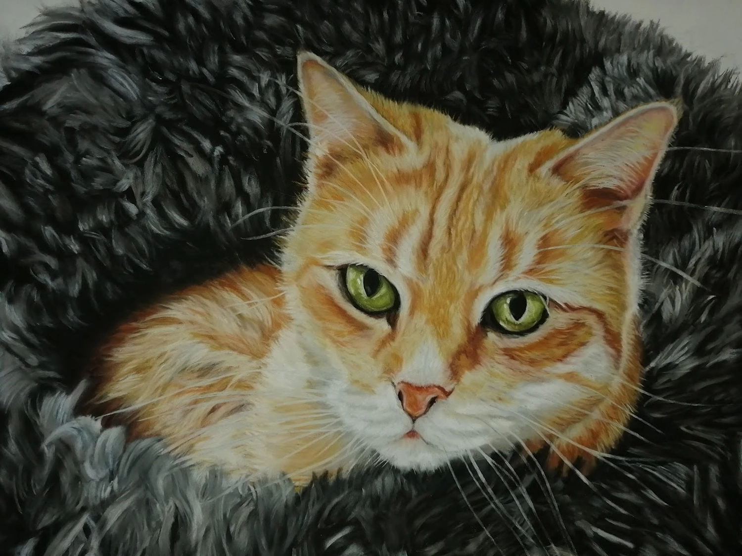 Mit Herz und Farbe - Künstler - Kat