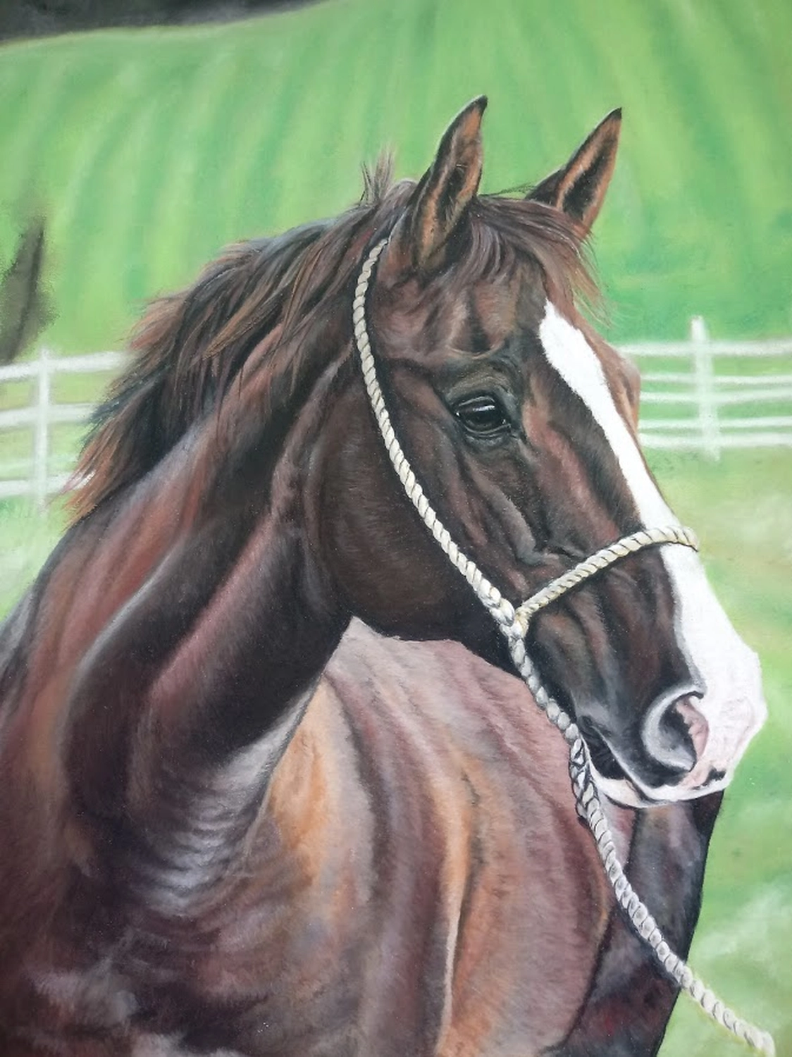 Mit Herz und Farbe - Künstler - Pferd