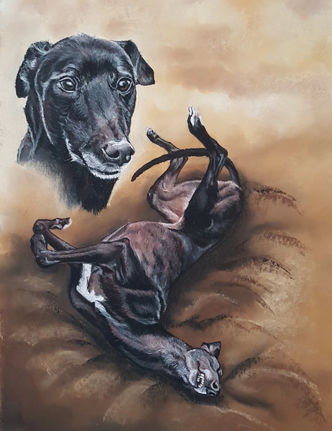 Mit Herz und Farbe - Künstler - Hunde