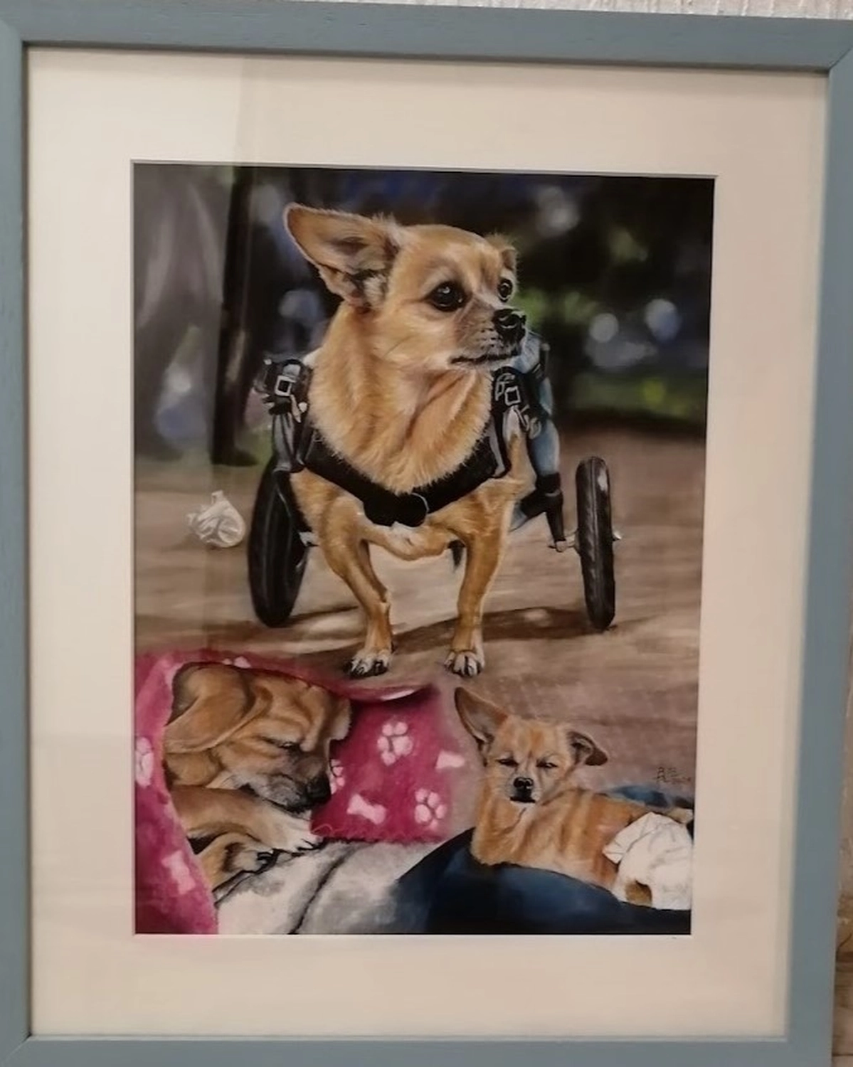 Mit Herz und Farbe - Künstler - Hunde