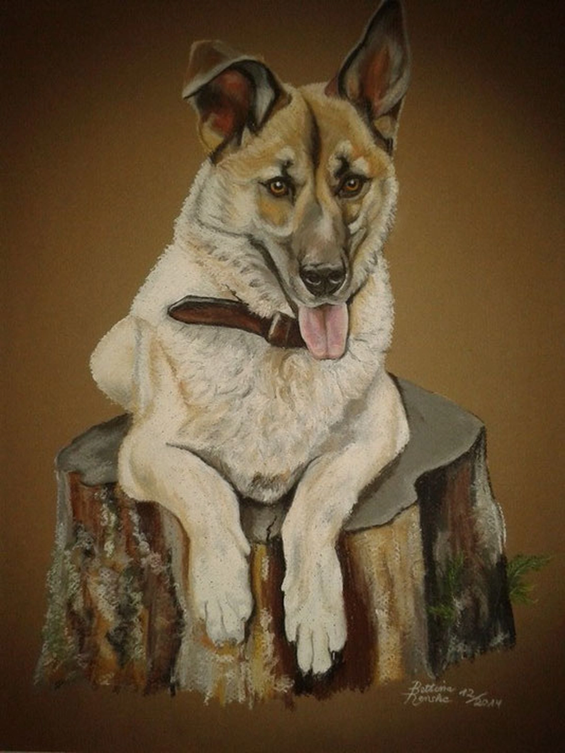 Mit Herz und Farbe - Künstler - Hunde