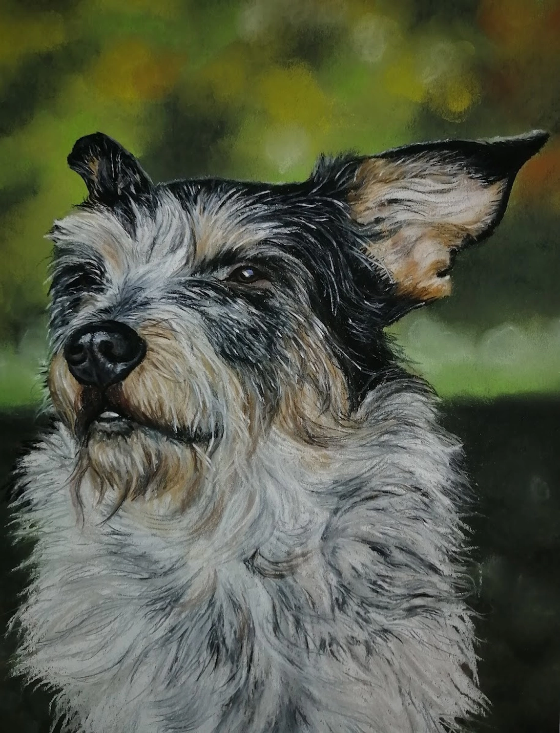 Mit Herz und Farbe - Künstler - Hunde