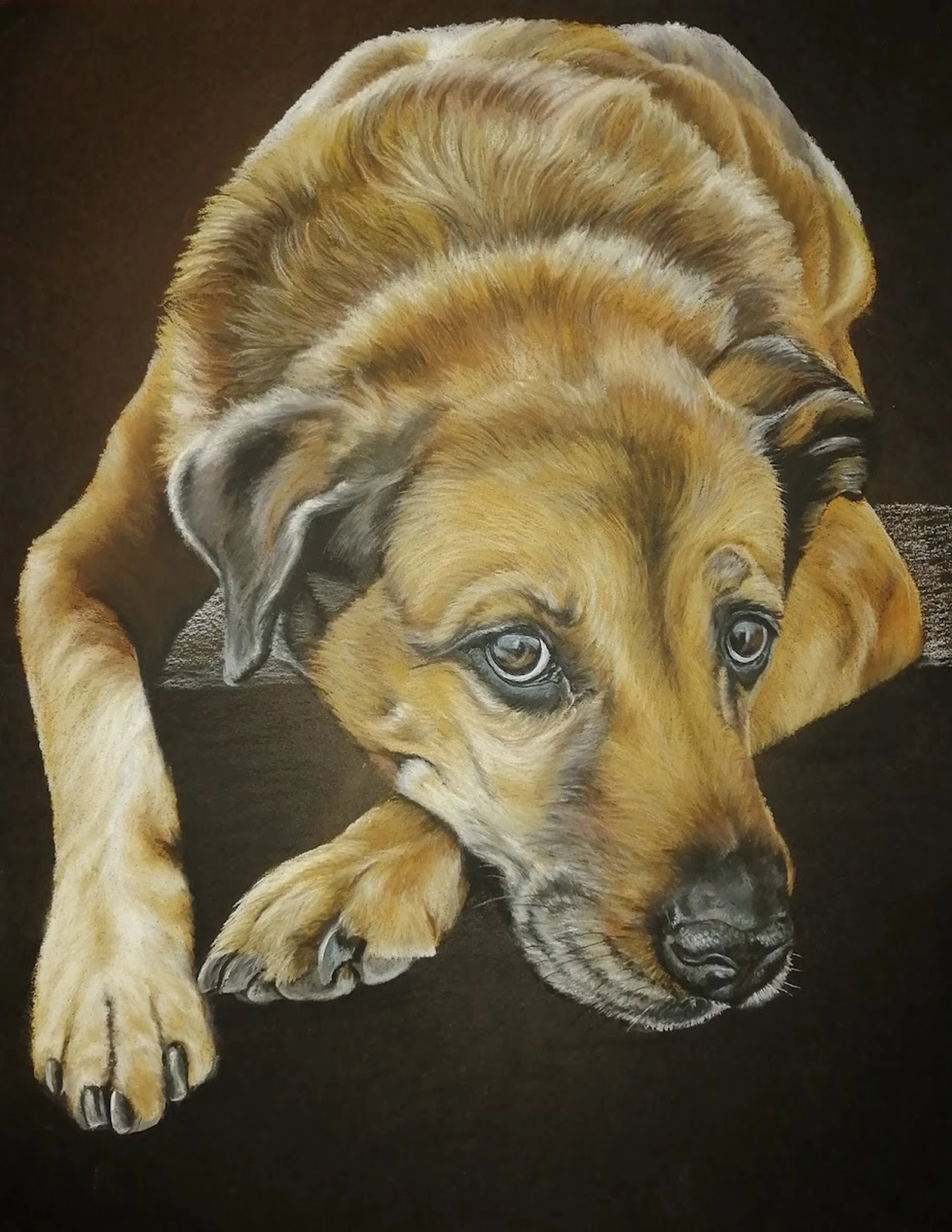 Mit Herz und Farbe - Künstler - Hunde