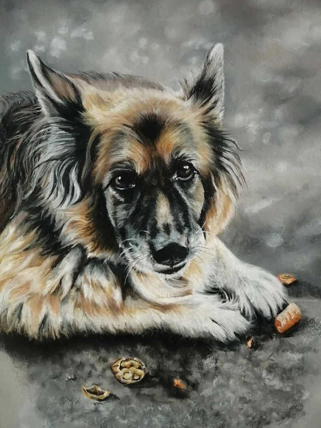 Mit Herz und Farbe - Künstler - Hunde