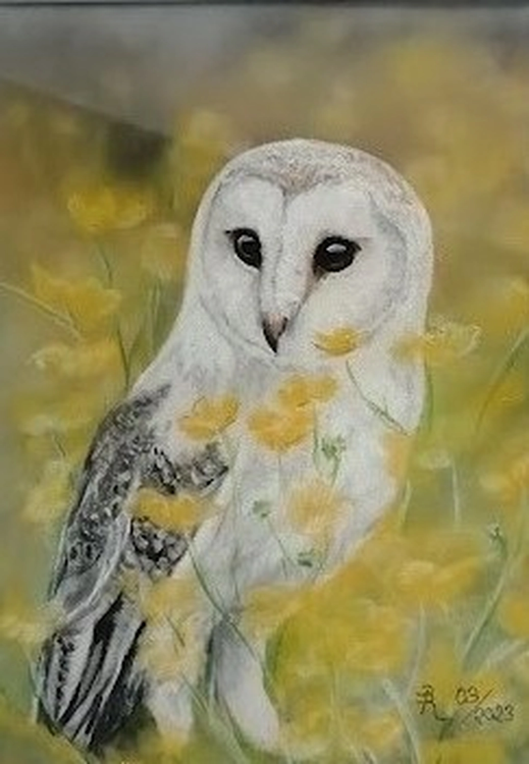 Mit Herz und Farbe - Künstler - Tier