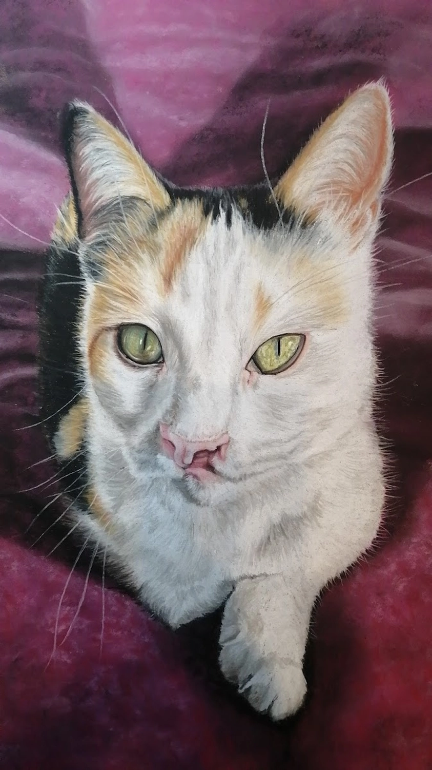 Mit Herz und Farbe - Künstler - Kat