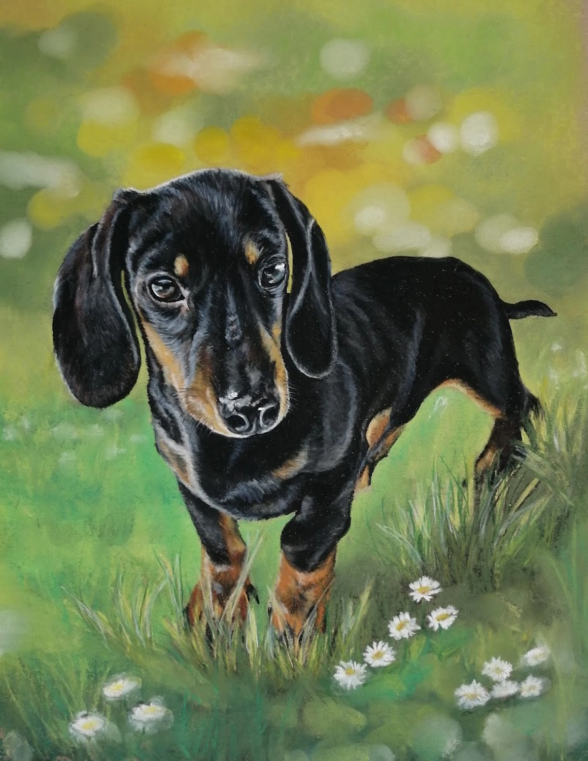 Mit Herz und Farbe - Künstler - Hunde