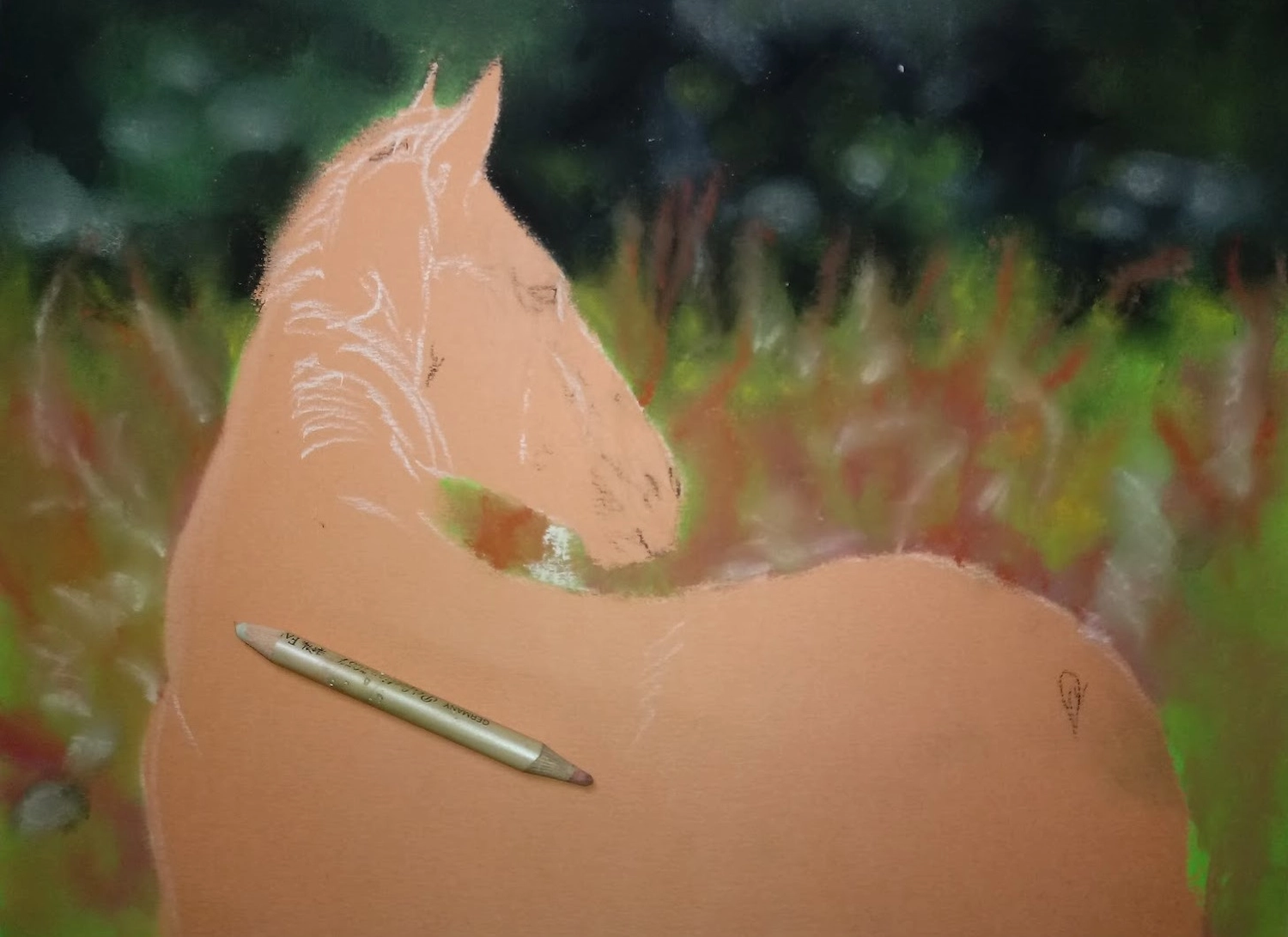 Mit Herz und Farbe - Künstler - Pferd