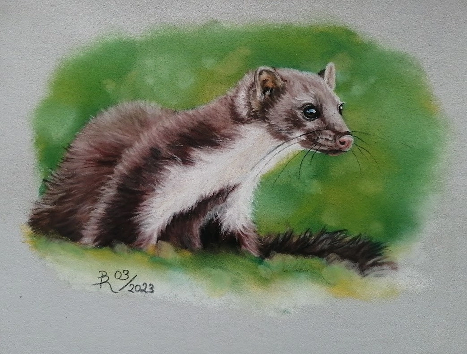 Mit Herz und Farbe - Künstler - Tier