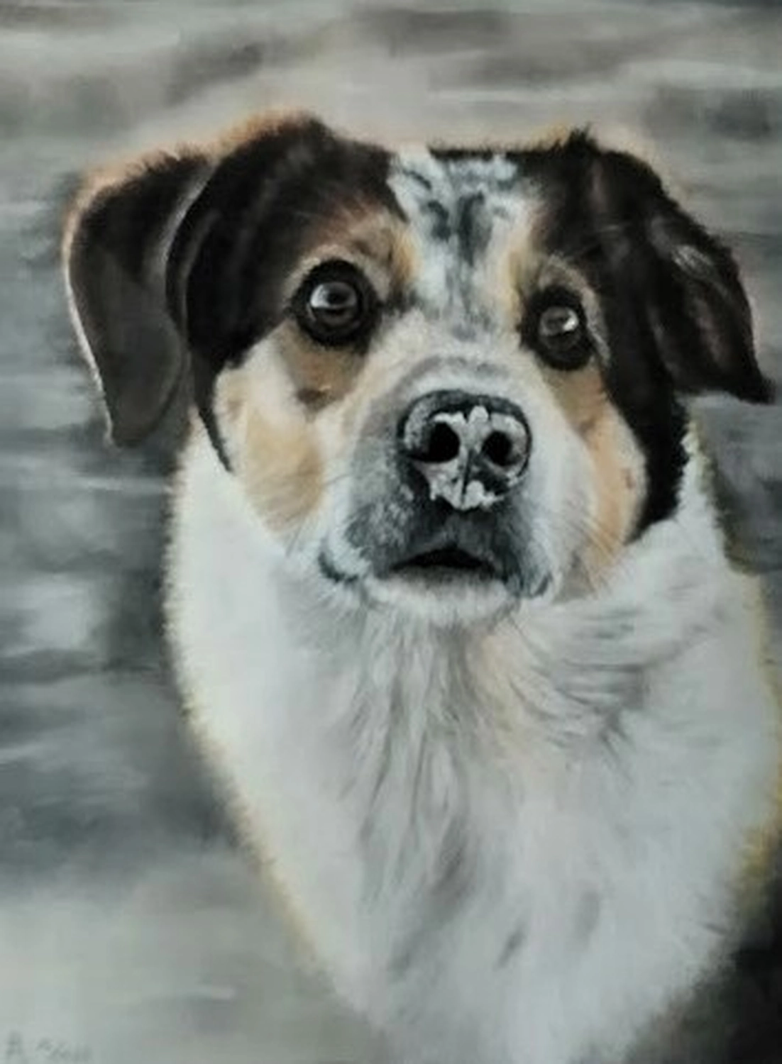 Mit Herz und Farbe - Künstler - Hunde