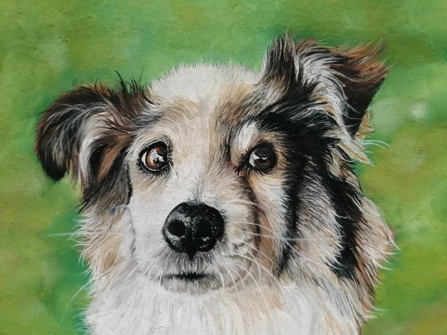 Mit Herz und Farbe - Künstler - Hunde