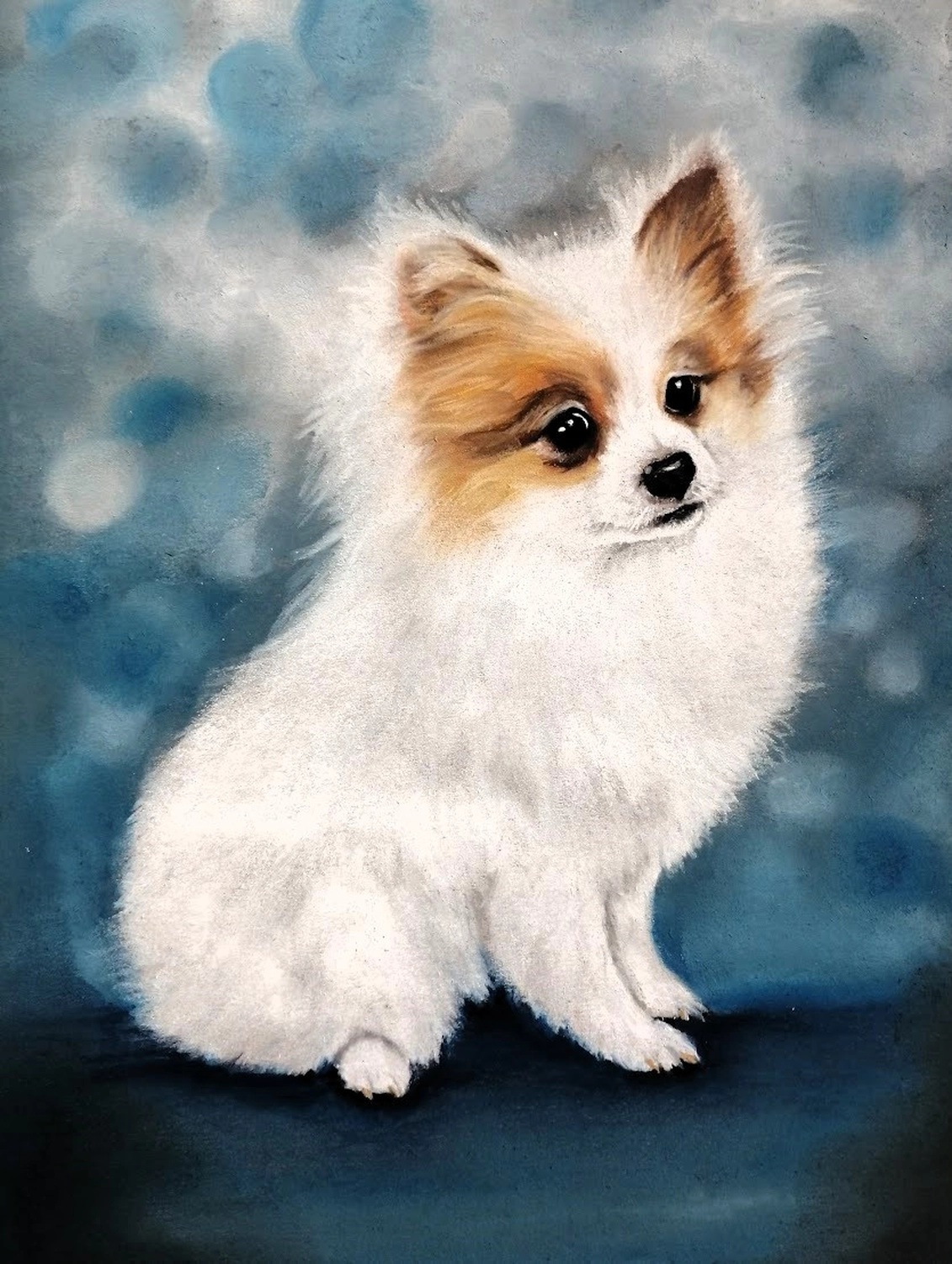 Mit Herz und Farbe - Künstler - Hunde