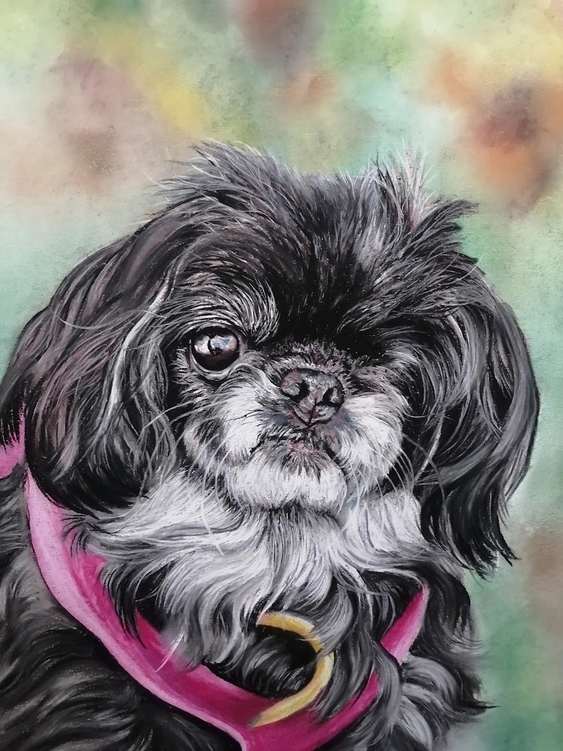 Mit Herz und Farbe - Künstler - Hunde