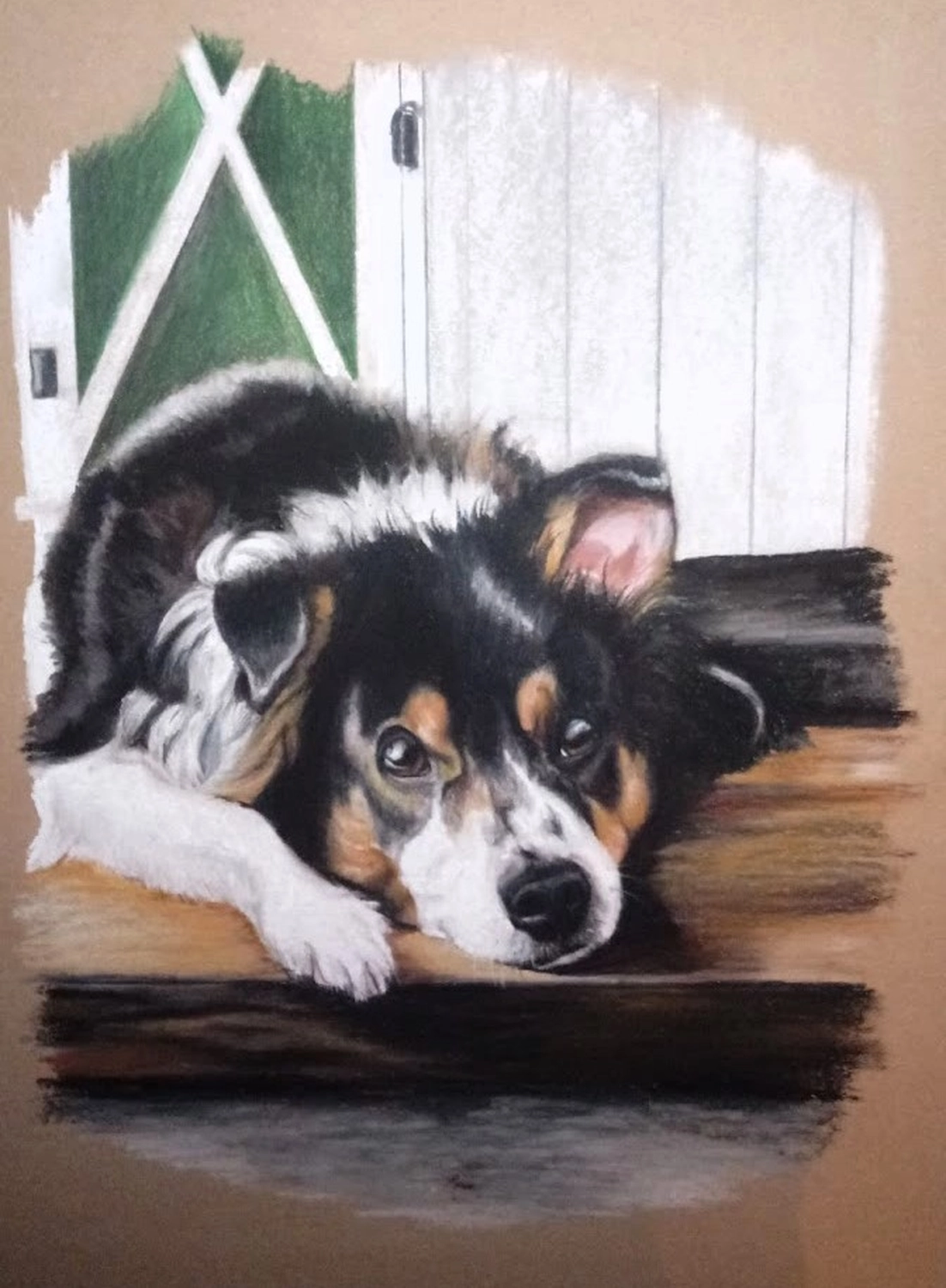 Mit Herz und Farbe - Künstler - Hunde