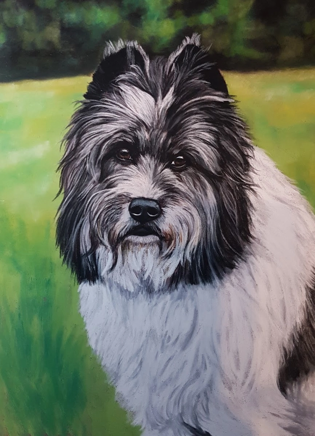 Mit Herz und Farbe - Künstler - Hunde