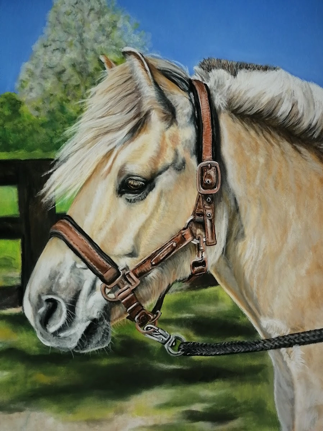 Mit Herz und Farbe - Künstler - Pferd