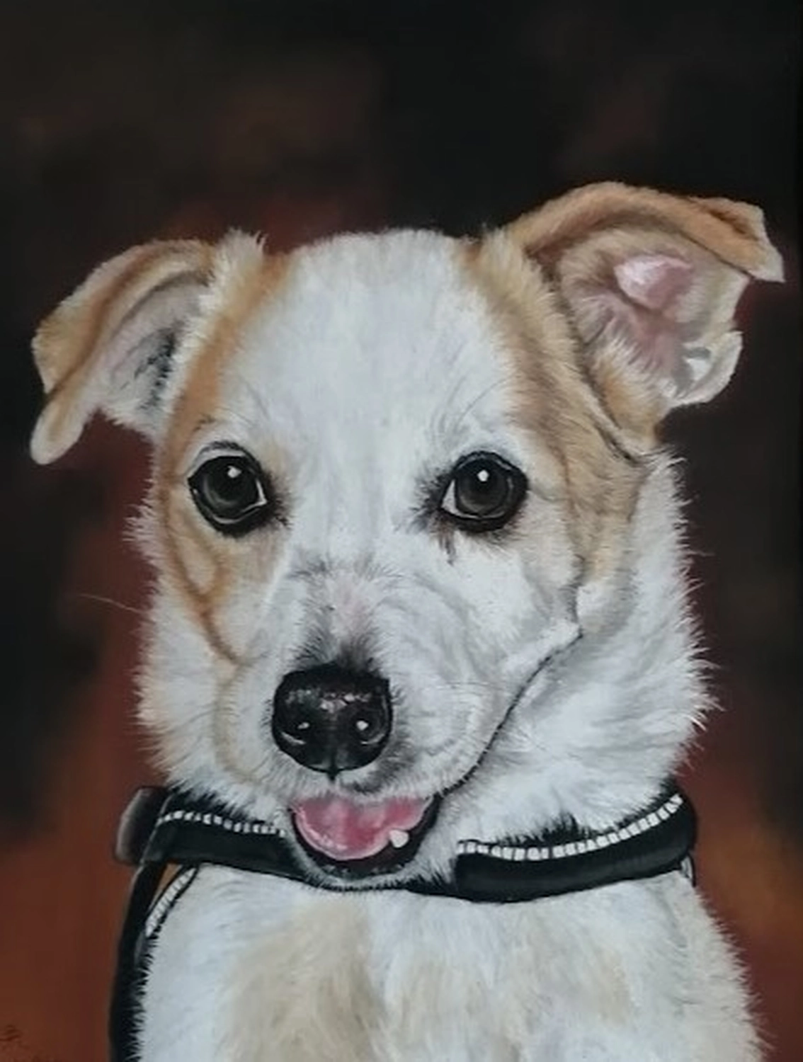 Mit Herz und Farbe - Künstler - Hunde