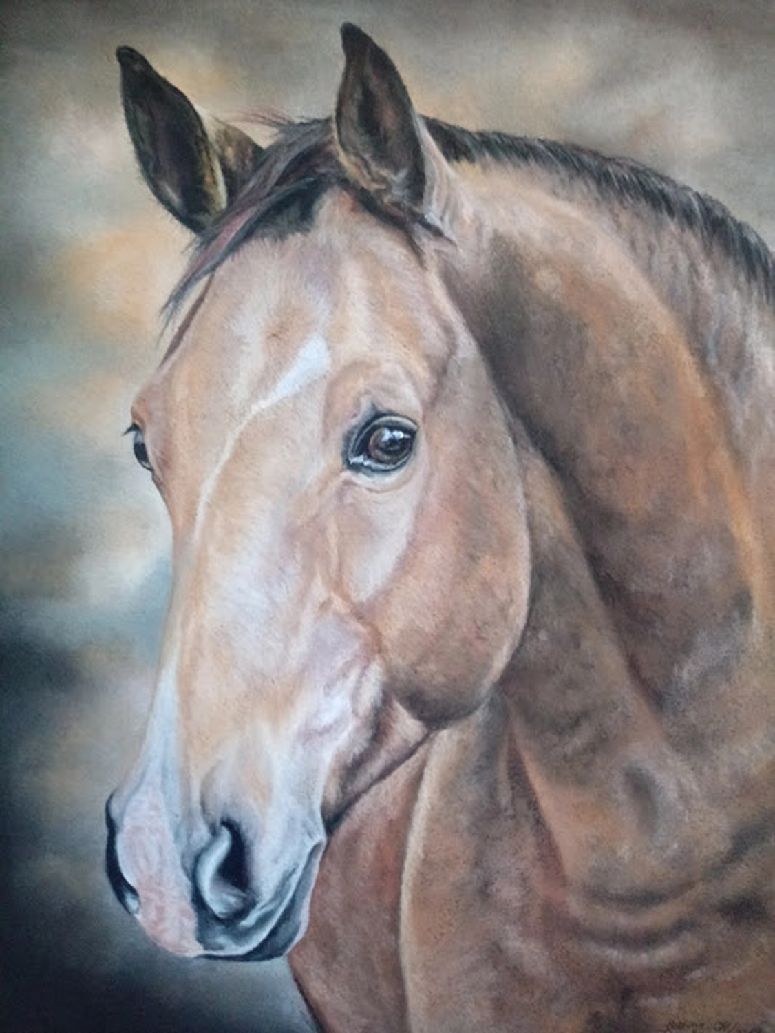 Mit Herz und Farbe - Künstler - Pferd