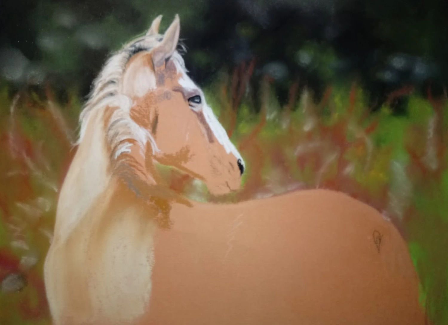 Mit Herz und Farbe - Künstler - Pferd