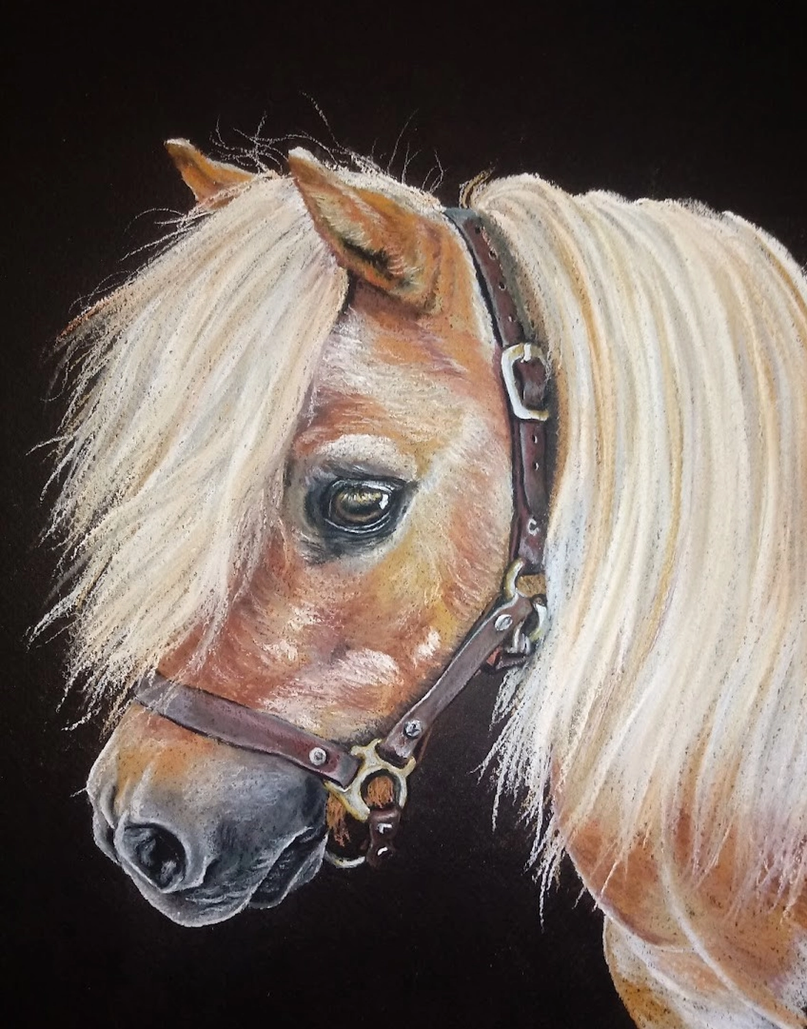 Mit Herz und Farbe - Künstler - Pferd