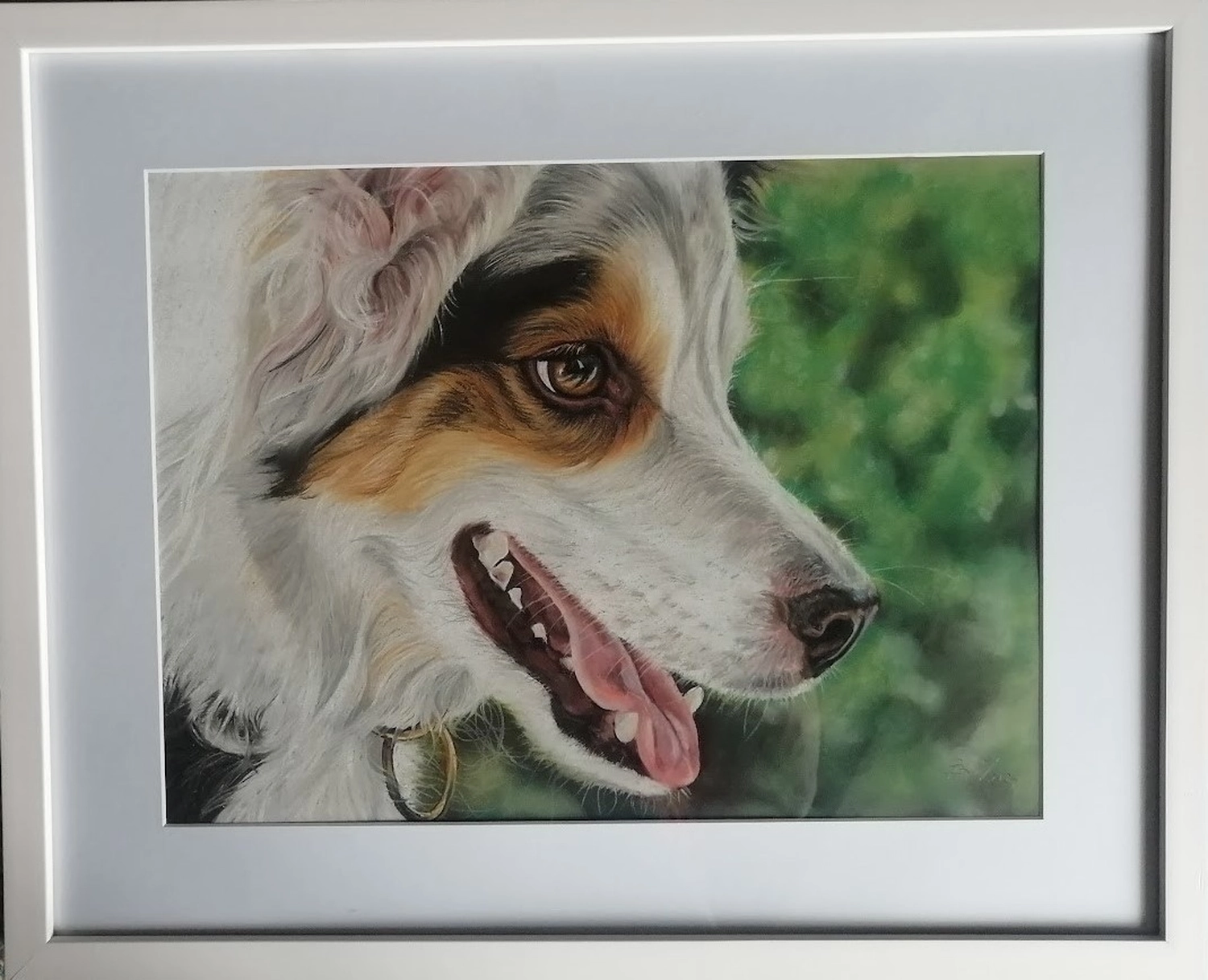 Mit Herz und Farbe - Künstler - Hunde