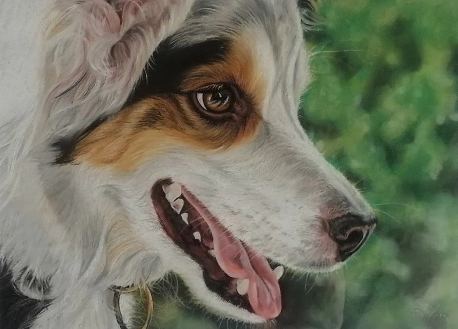 Mit Herz und Farbe - Künstler - Hunde