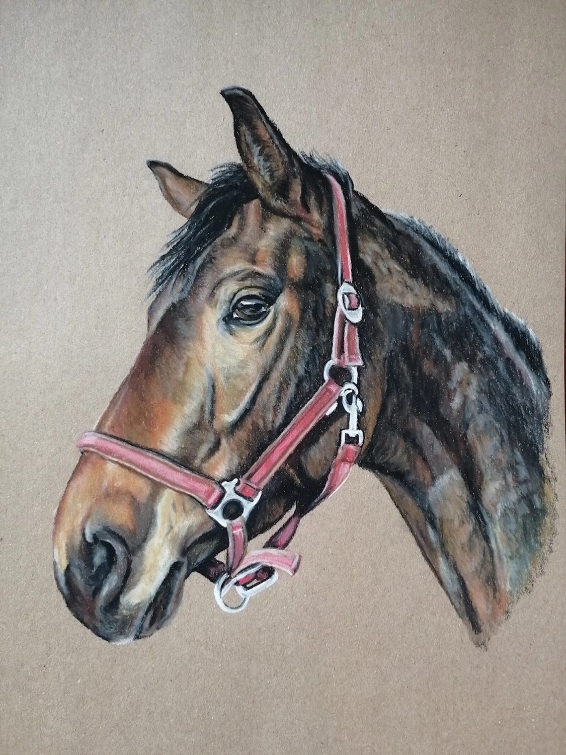 Mit Herz und Farbe - Künstler - Pferd