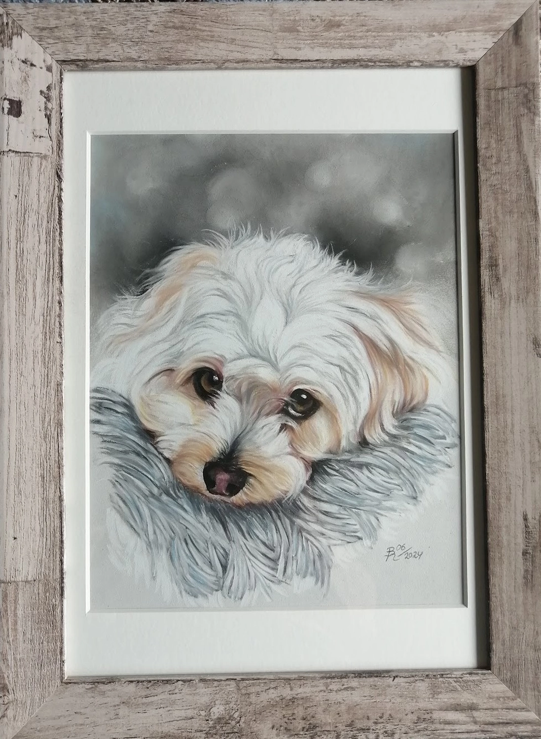 Mit Herz und Farbe - Künstler - Hunde