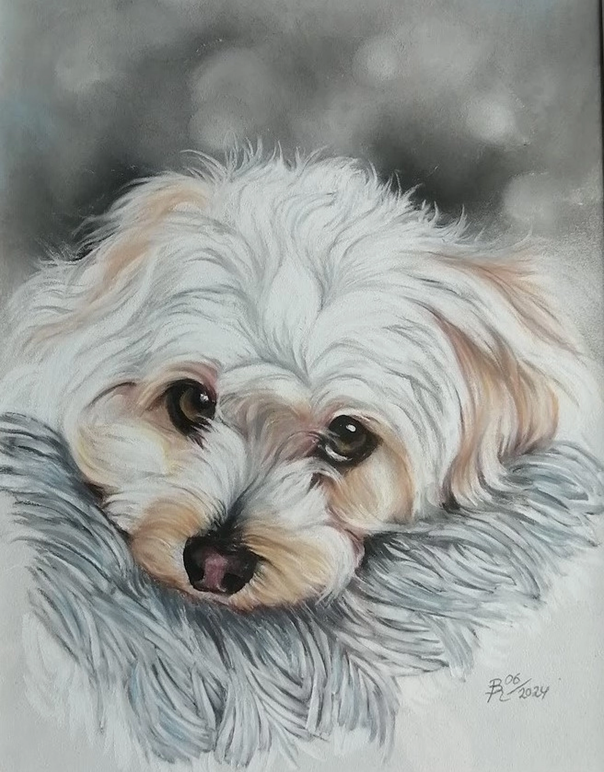 Mit Herz und Farbe - Künstler - Hunde