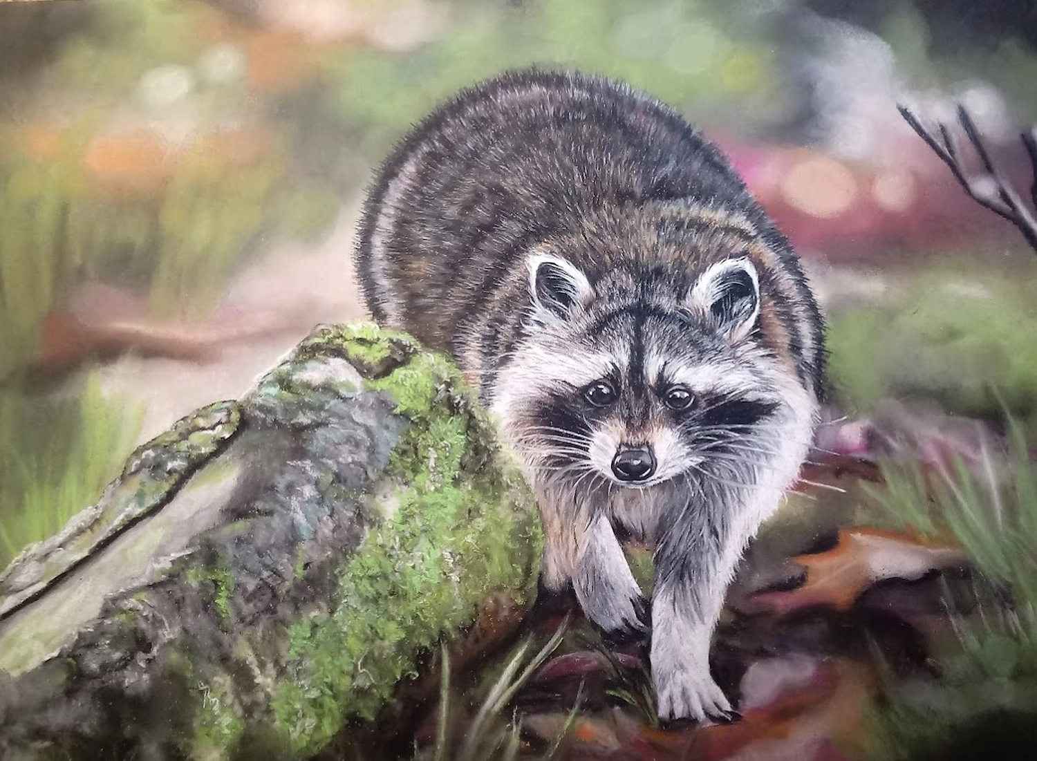 Mit Herz und Farbe - Künstler - Tier