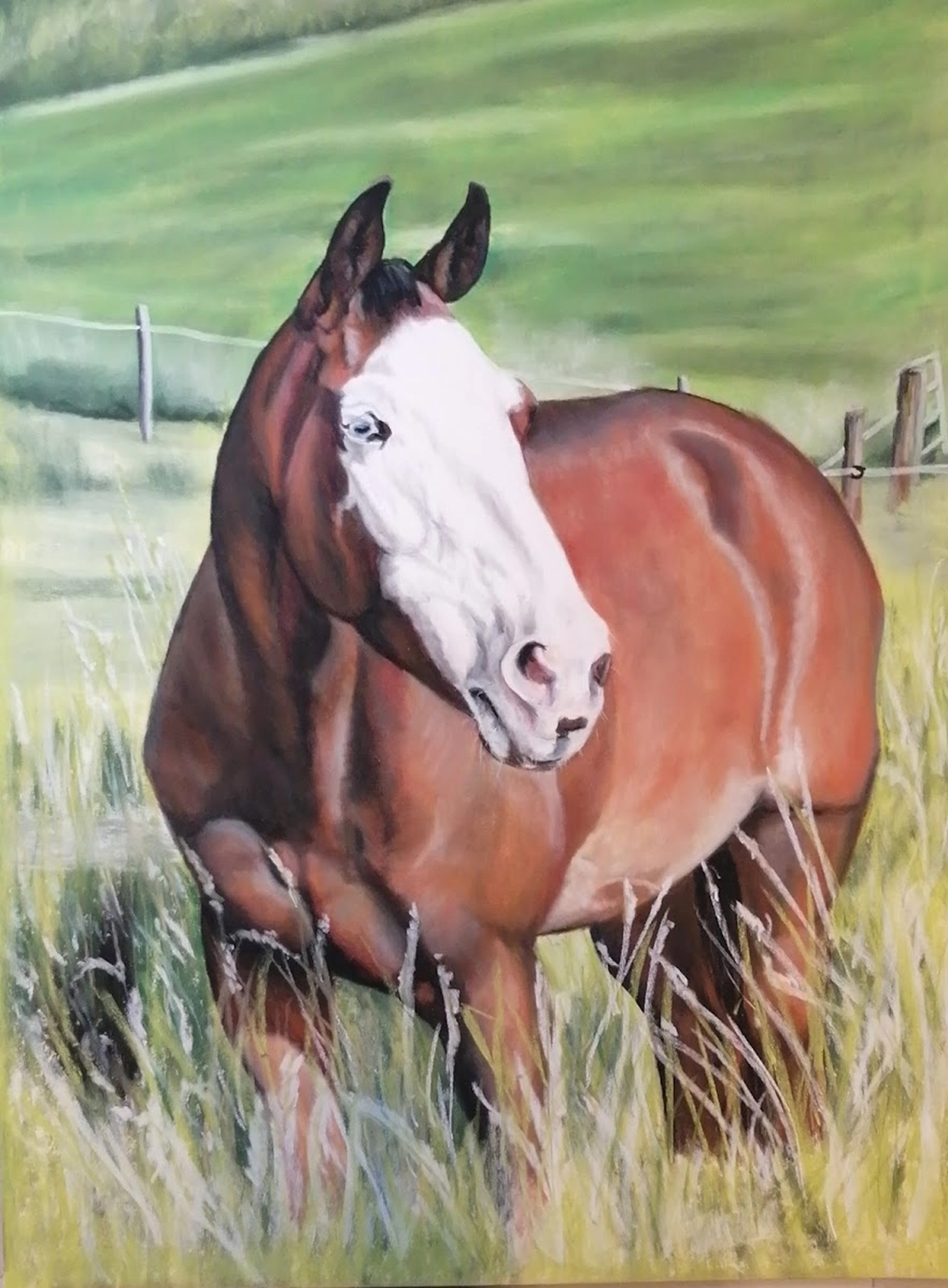 Mit Herz und Farbe - Künstler - Pferd