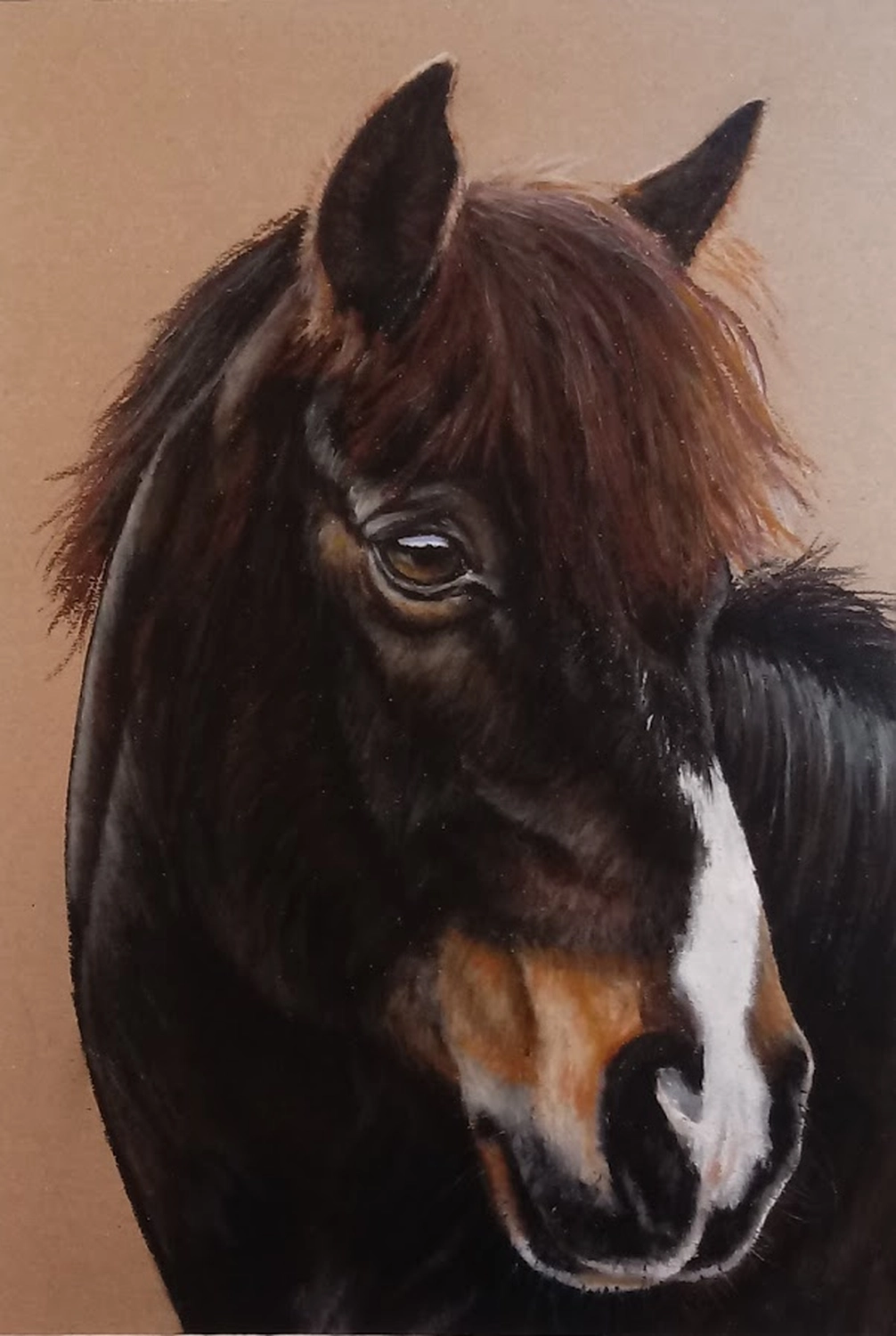 Mit Herz und Farbe - Künstler - Pferd