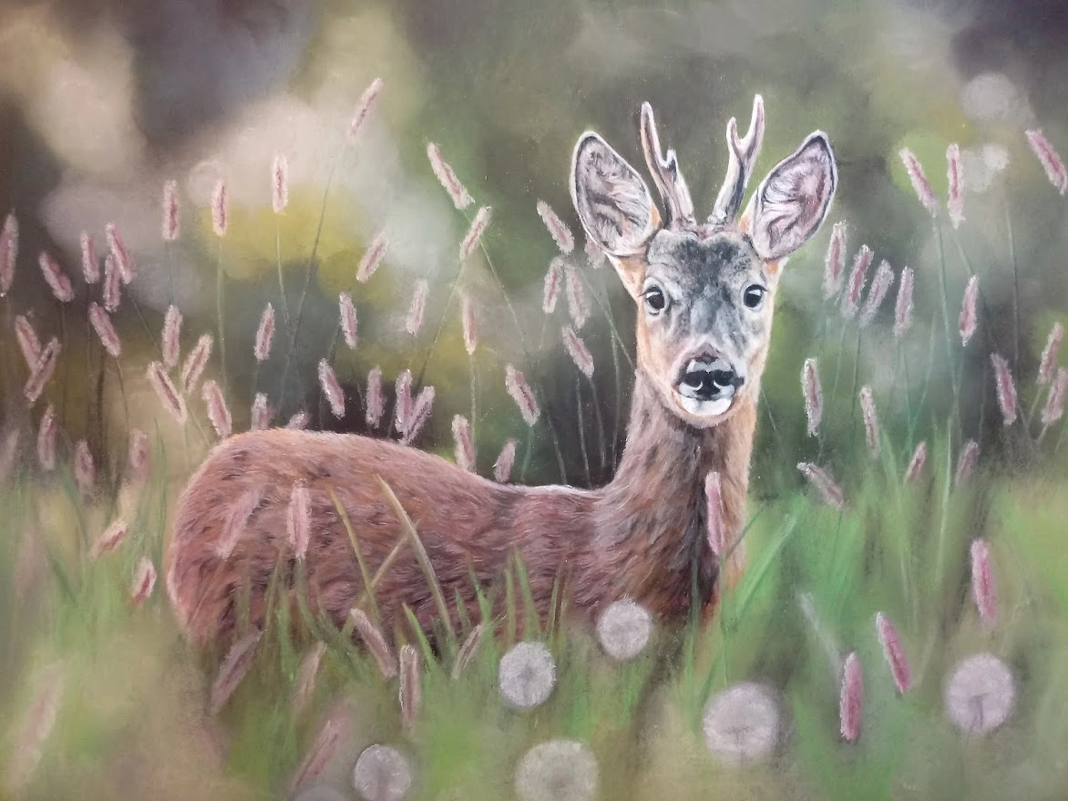 Mit Herz und Farbe - Künstler - Tiere kreuz und quer